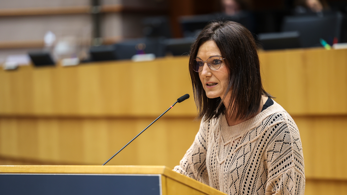 Europar Batzordeak ulertzen du ikus-entzunezko edukien geoblokeoak oztopo egiten diela  euskara moduko hizkuntzei, eta arazoa aztertuko duela hitzeman du 